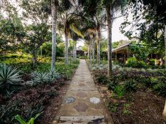 Lidiko Lodge - Garten beim Eingang