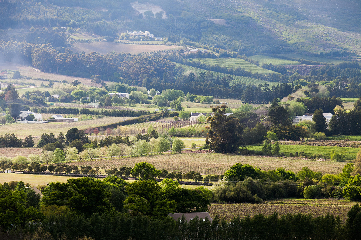 Mont Rochelle Hotel &amp; Vineyard - Aussicht ins Franschhoek-Tal