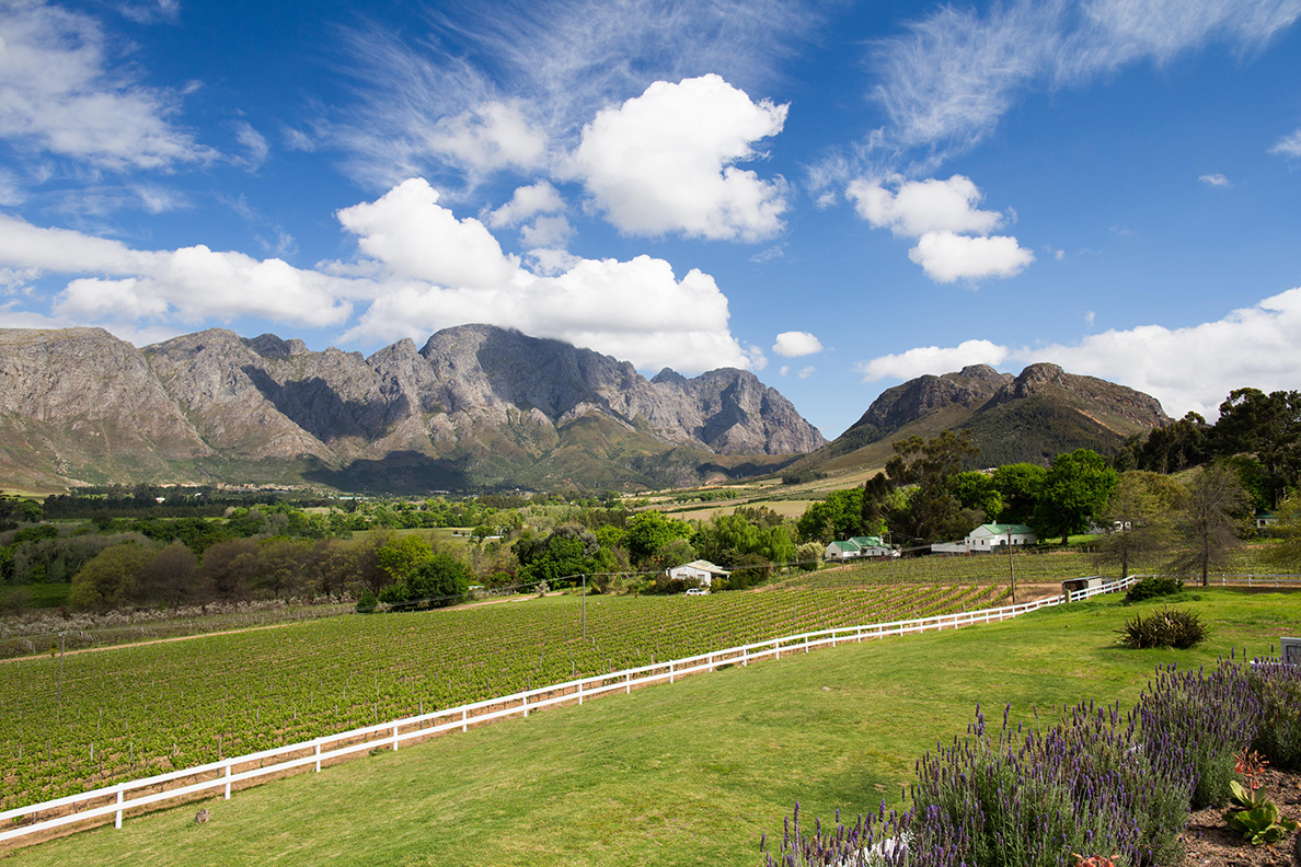 Mont Rochelle Hotel &amp; Vineyard - Vineyard Wing
