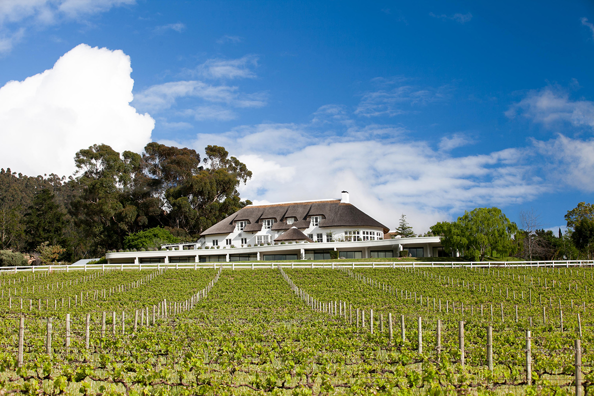 Mont Rochelle Hotel &amp; Vineyard - Weingut