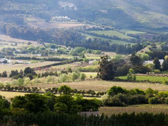 Mont Rochelle Hotel & Vineyard - Aussicht ins Franschhoek-Tal Mont Rochelle Hotel & Vineyard - Aussicht ins Franschhoek-Tal