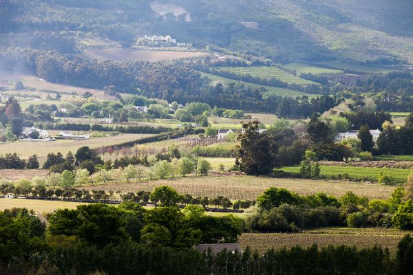 Mont Rochelle Hotel and Vineyard