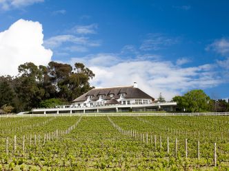 Mont Rochelle Hotel & Vineyard - Weingut Mont Rochelle Hotel & Vineyard - Weingut
