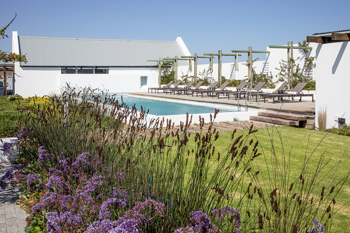 Strandloper Boutique Hotel - Swimming Pool