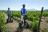 spier hotel - segway ausflug