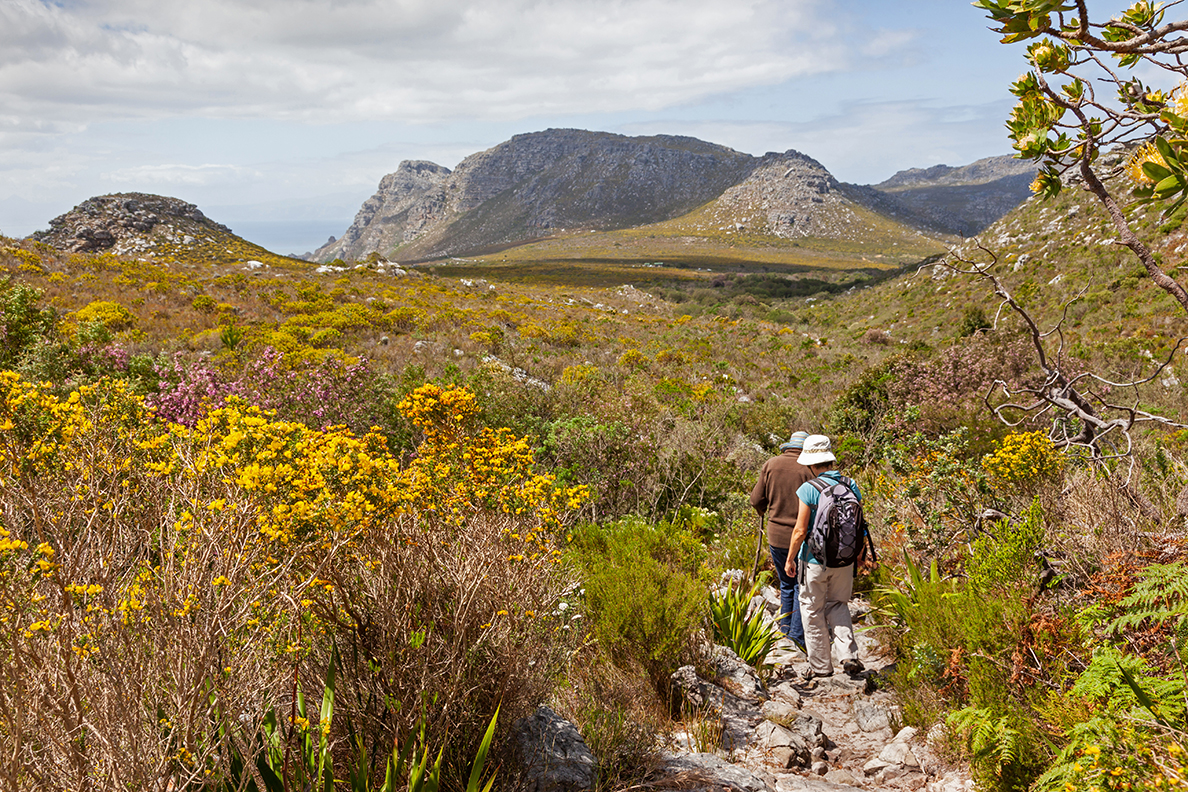 Women Hiking in Table Mountain National Park