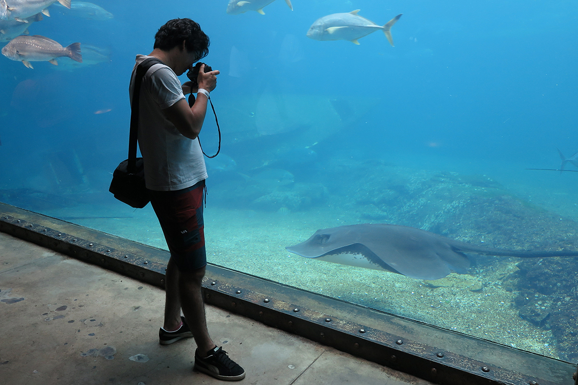 Durban - UShaka Marine World (Adobe Stock)