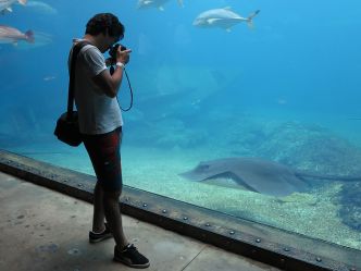 Durban - UShaka Marine World (Adobe Stock) Durban - UShaka Marine World (Adobe Stock)