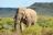 Sanbona Game Reserve