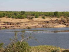 Kruger National Park