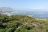 Hermanus