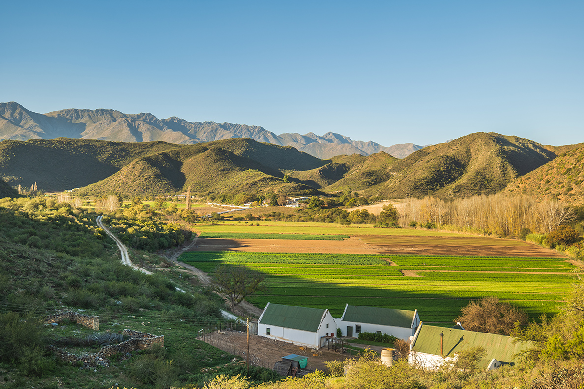 Oudtshoorn