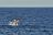 Plettenberg Bay (Adobe Stock) Plettenberg Bay (Adobe Stock)