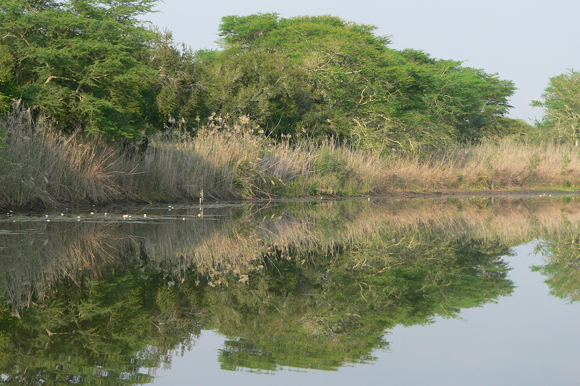 St. Lucia - iSimangaliso National Park