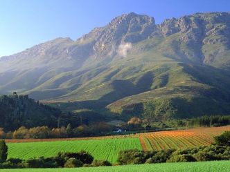 Cape Winelands Cape Winelands