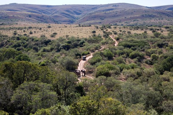 Addo Elephant National Park