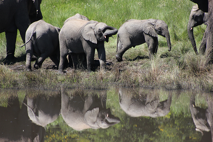Amakhala Private Game Reserve
