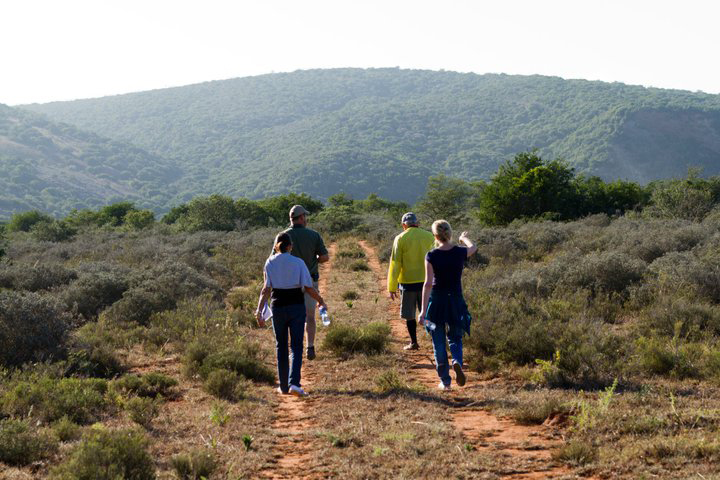 Amakhala Private Game Reserve - Bush Walk