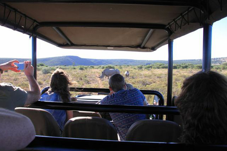Amakhala Private Game Reserve - Game Drive