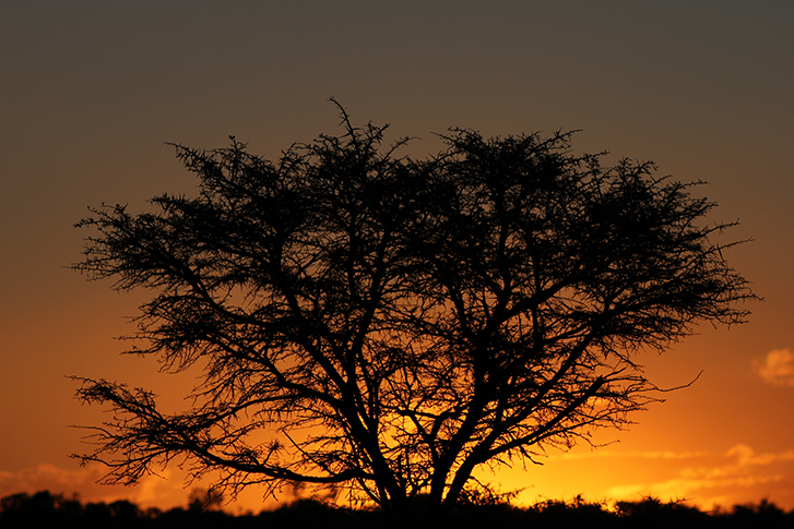 Amakhala Private Game Reserve