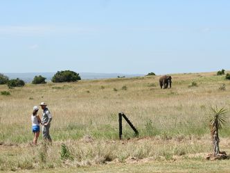 Amakhala Private Game Reserve - Bush Walk Amakhala Private Game Reserve - Bush Walk