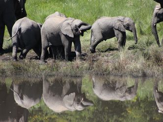 Amakhala Private Game Reserve Amakhala Private Game Reserve