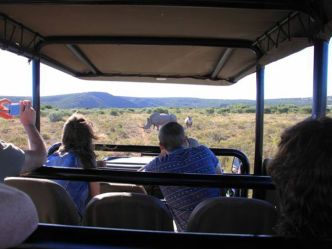Amakhala Private Game Reserve - Game Drive Amakhala Private Game Reserve - Game Drive