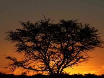 Amakhala Private Game Reserve Amakhala Private Game Reserve