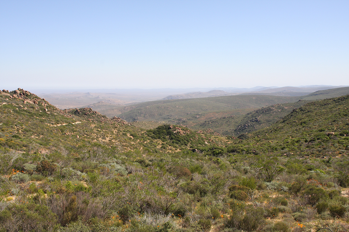 Cederberg Mountains