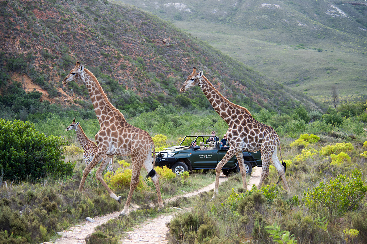 Gondwana Private Game Reserve