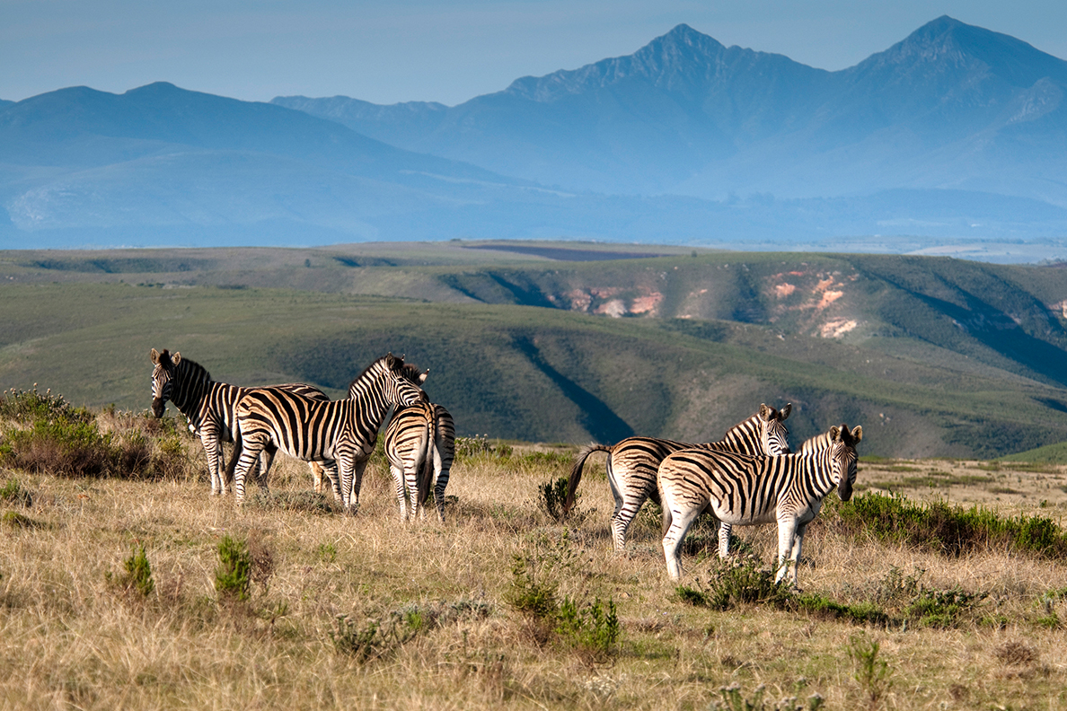 Gondwana Private Game Reserve