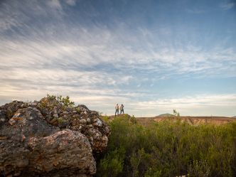Gondwana Private Game Reserve Gondwana Private Game Reserve