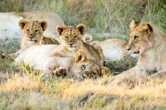 Gondwana Private Reserve