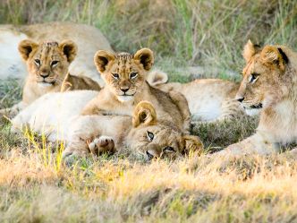 Gondwana Private Game Reserve Gondwana Private Game Reserve