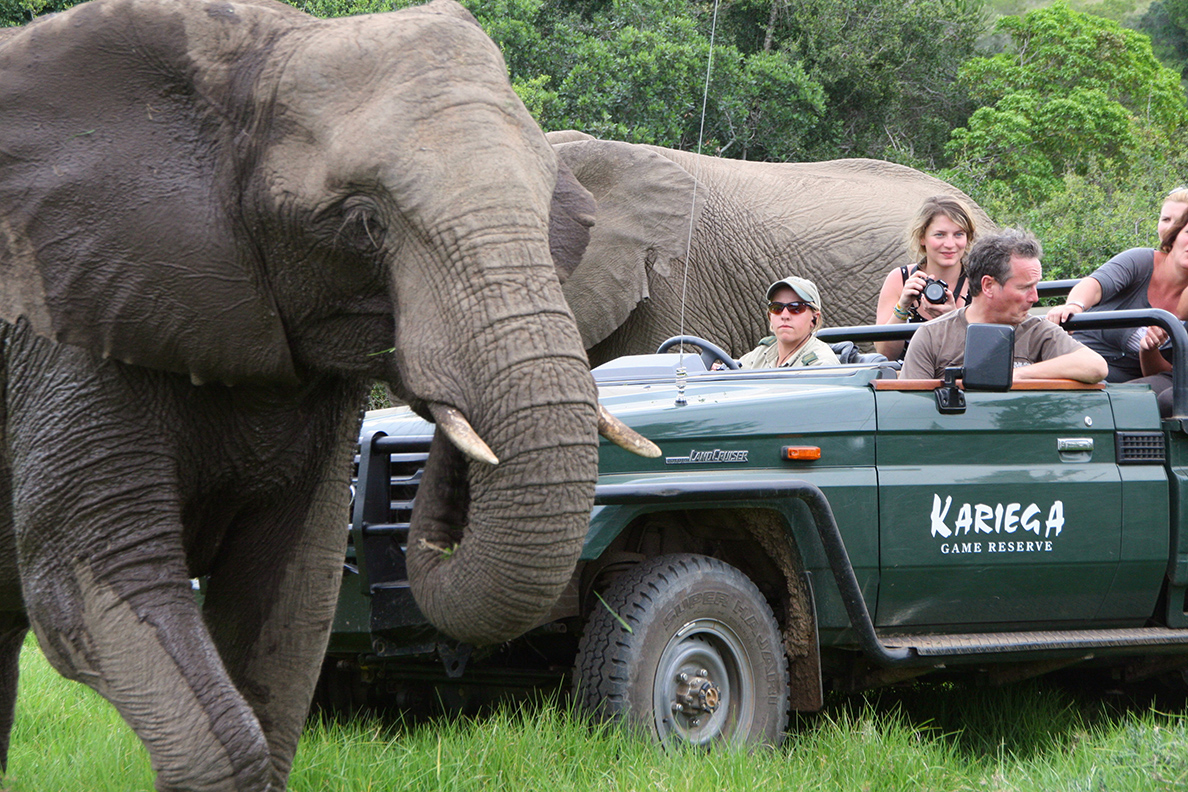 Kariega Private Game Reserve