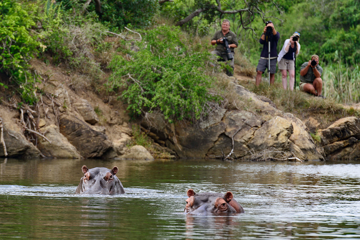 Kariega Private Game Reserve
