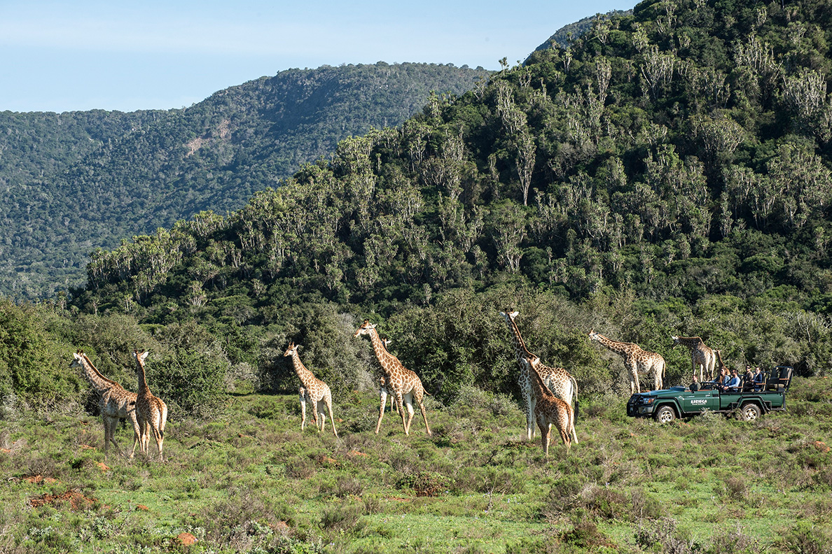Kariega Private Game Reserve