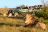 Kariega Private Game Reserve