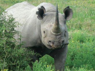 Kariega Private Game Reserve Kariega Private Game Reserve