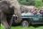 Kariega Private Game Reserve