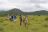 Kariega Private Game Reserve