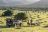 Kariega Private Game Reserve