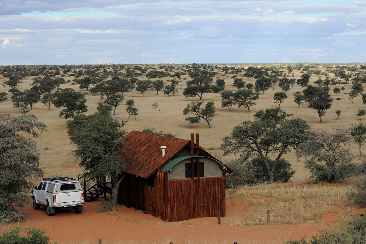 Kgalagadi Transfrontier National Park