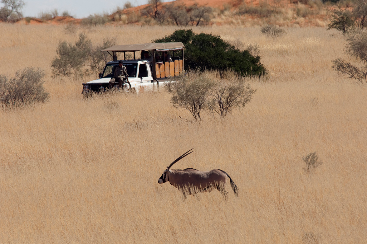 Kgalagadi Transfrontier National Park