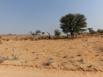 Kgalagadi Transfrontier National Park Kgalagadi Transfrontier National Park