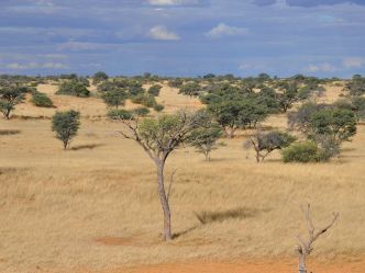 Kgalagadi Transfrontier National Park Kgalagadi Transfrontier National Park