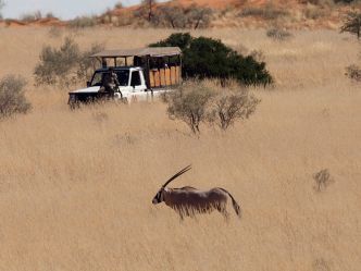 Kgalagadi Transfrontier National Park Kgalagadi Transfrontier National Park