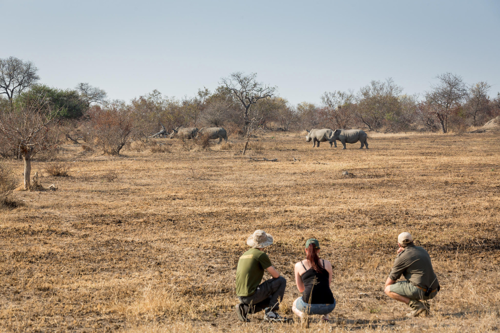 Klaserie Private Nature Reserve - Bush Walk (Africa on Foot)