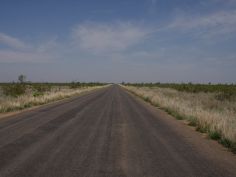 Unterwegs nach Norden im Kruger National Park