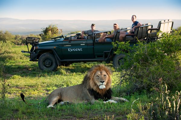 Kwandwe Private Game Reserve